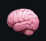 Cerebro