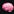 Cerebro