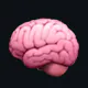 Cerebro