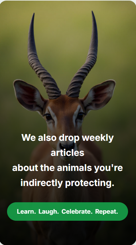 HornyToday gallery image