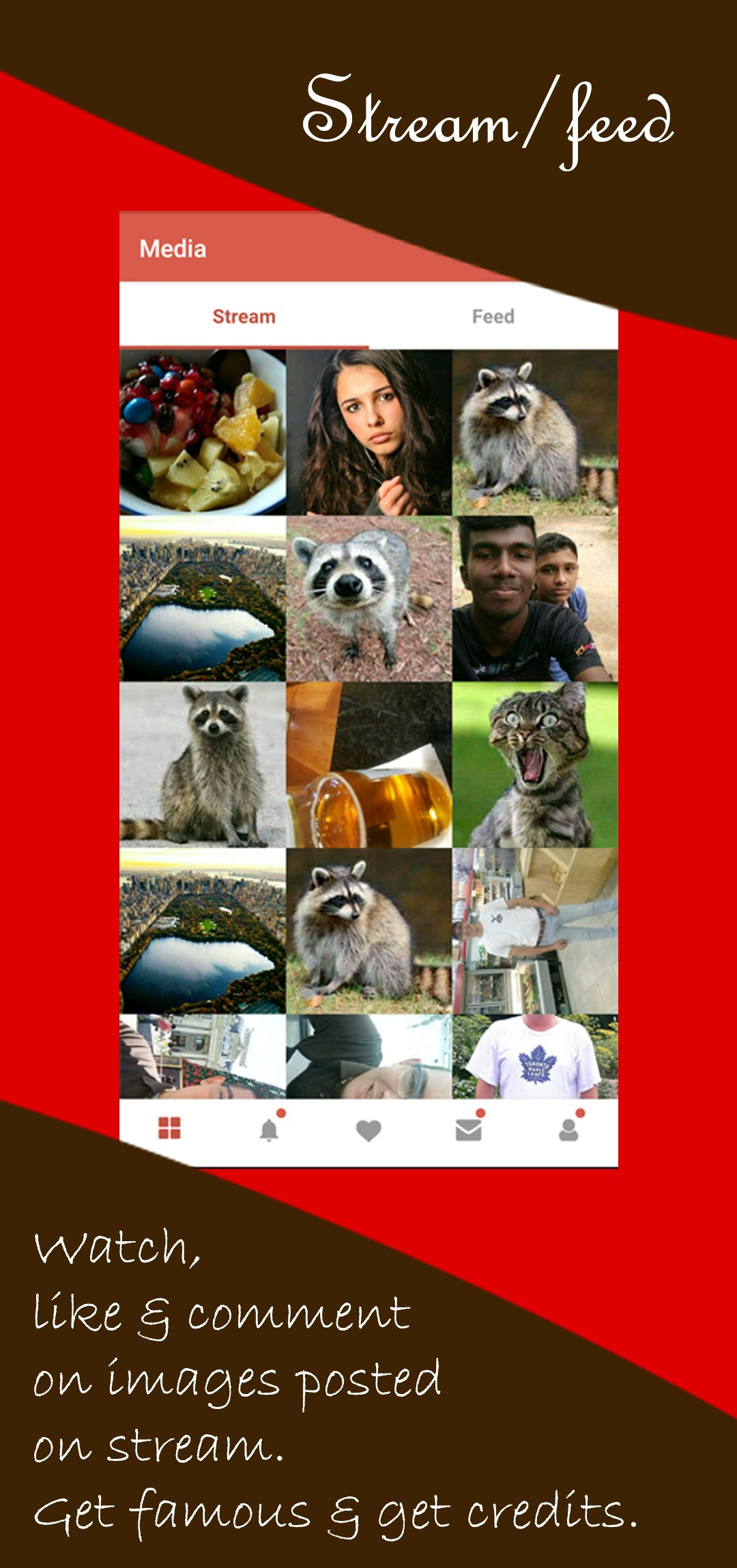 Chocolate gallery image