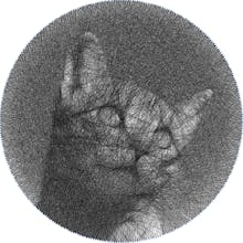 String Art Generator gallery image