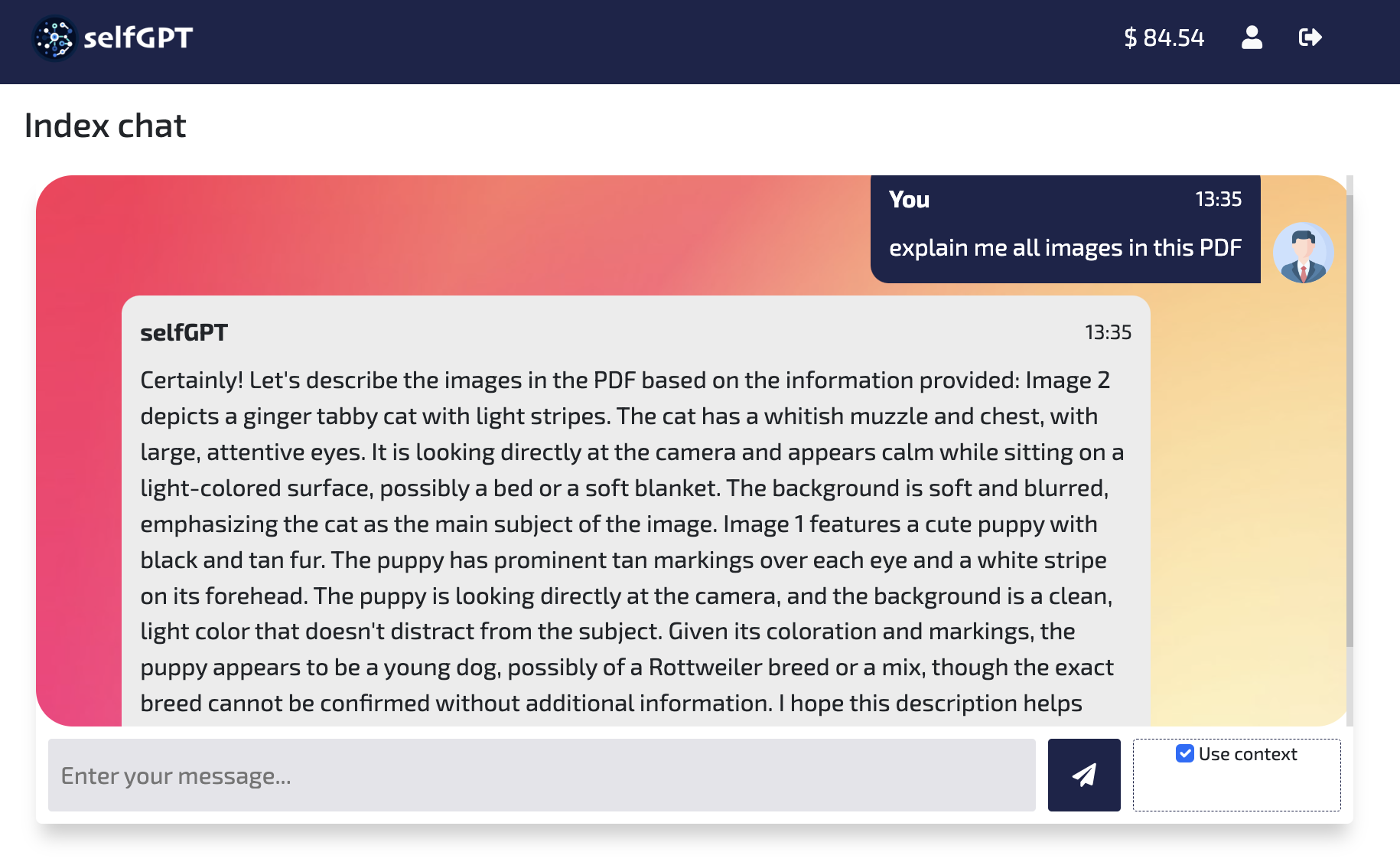 selfGPT gallery image