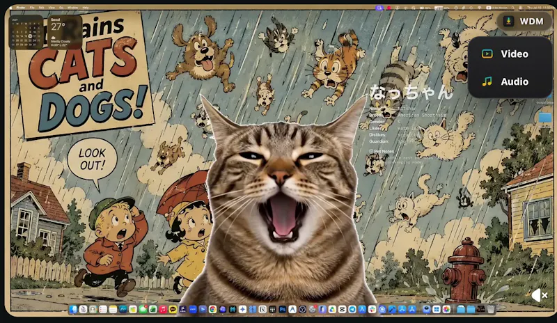 WDM screenshot 2