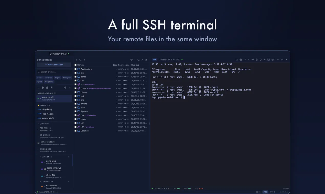 SSHive gallery image