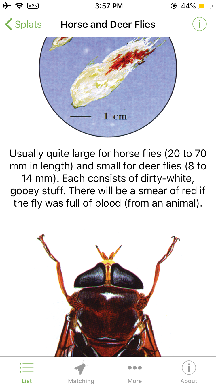 That Gunk On Your Car gallery image