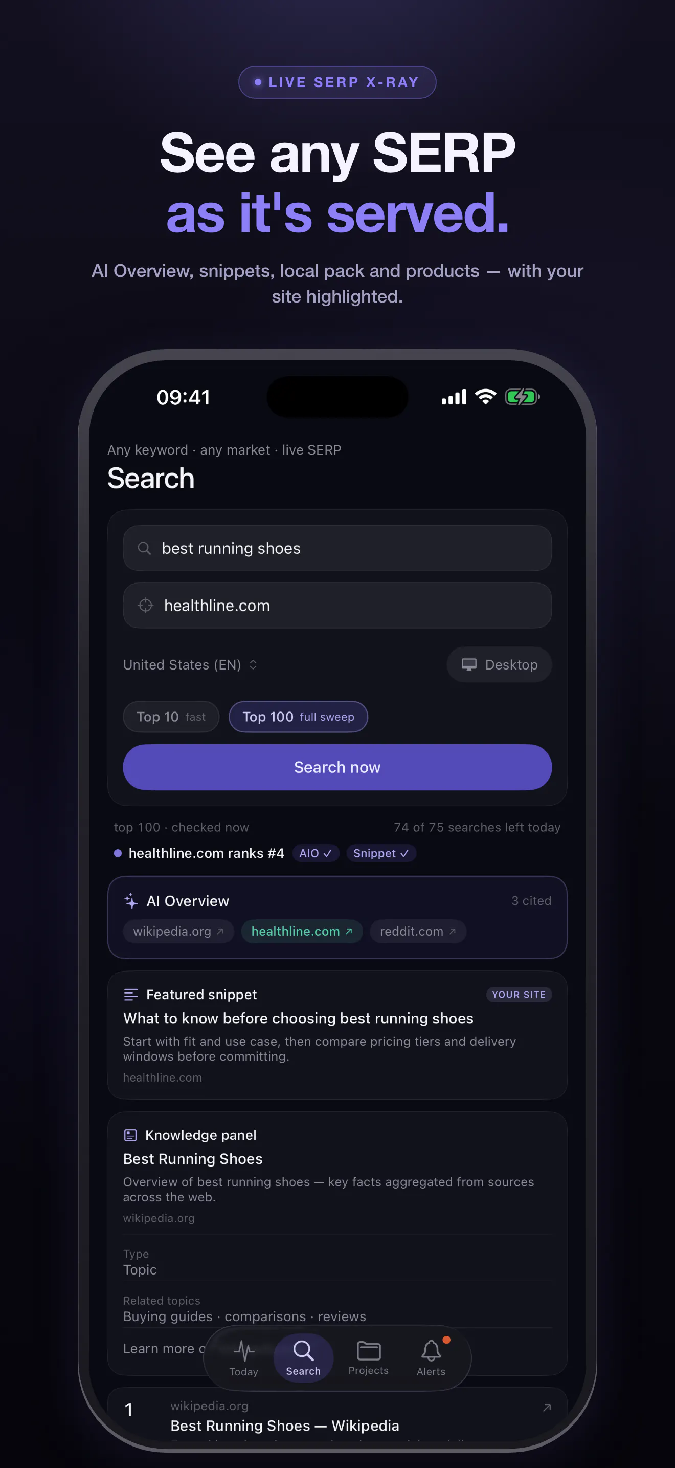 PingSerp gallery image