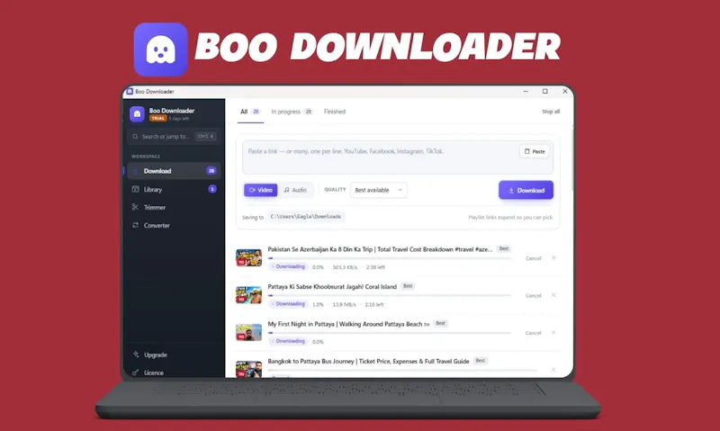 Boo Downloader screenshot 2