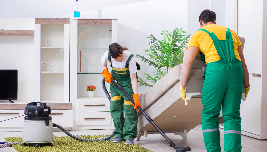 promiae cleaning gallery image