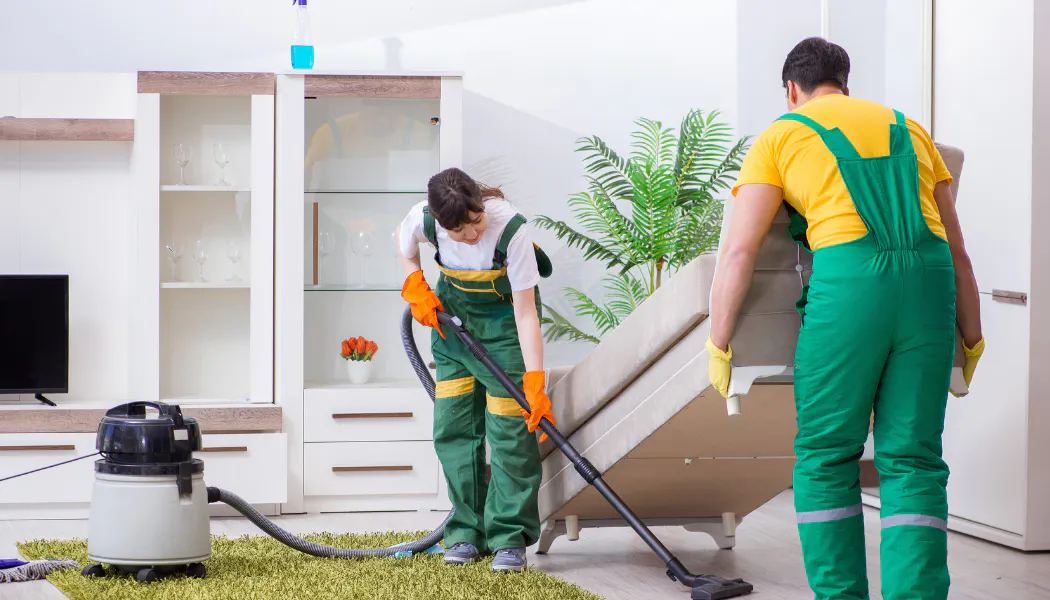 promiae cleaning 제품 배너