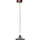 BotEyes Telepresence Robot