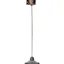 BotEyes Telepresence Robot
