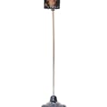 BotEyes Telepresence Robot