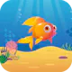 Match Sea Animals Kids Puzzle