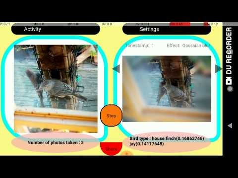 Birdfie gallery image