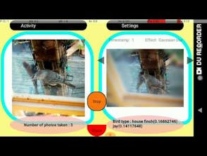 Birdfie gallery image