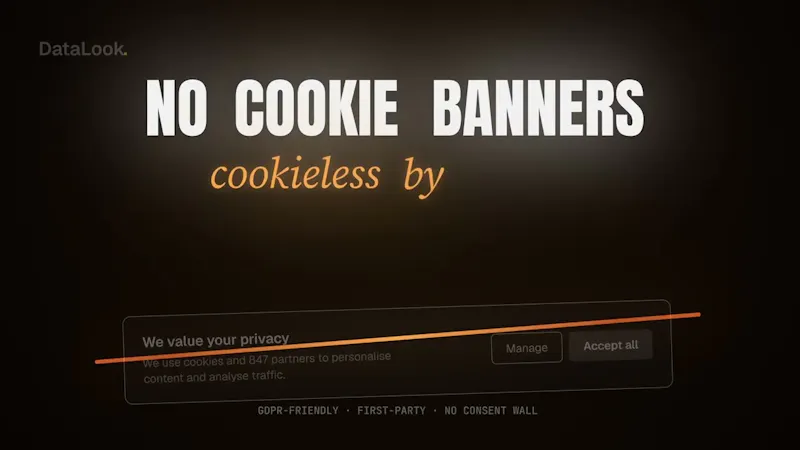 DataLook screenshot 1 (video preview)
