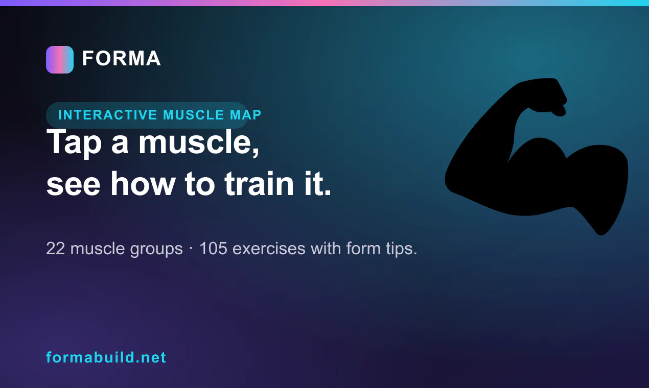 FORMA 截图 2