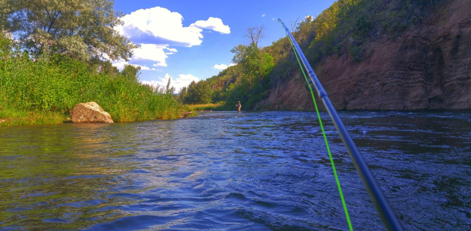 Brandon Bednar cover