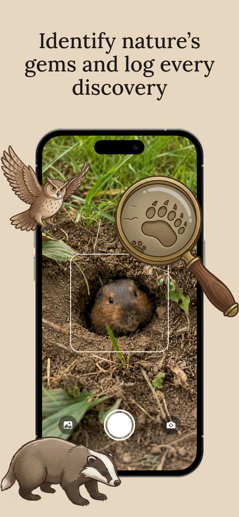 Fauna App Launch screenshot 2