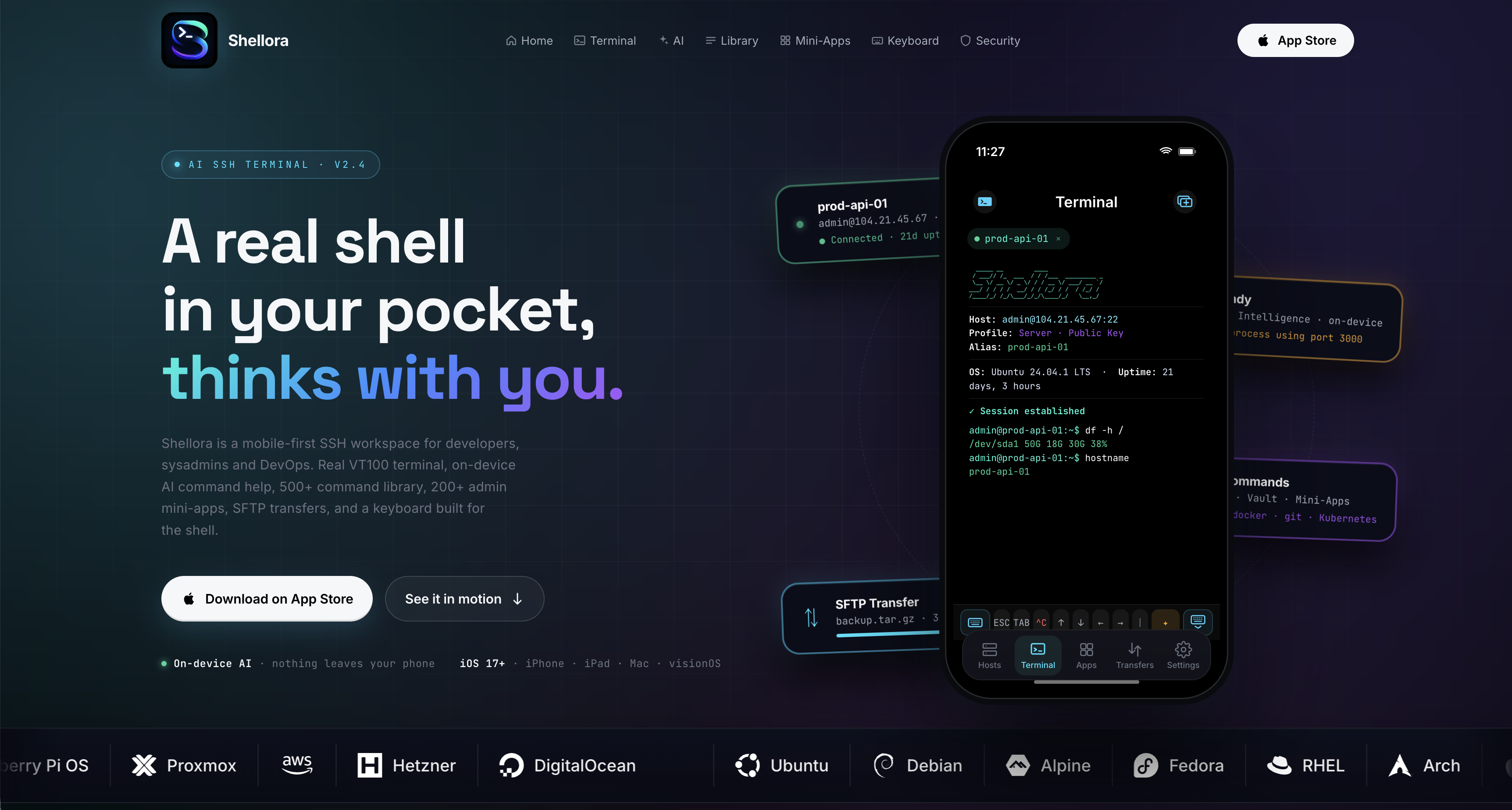 Shellora gallery image