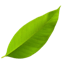 Vocal Leaf