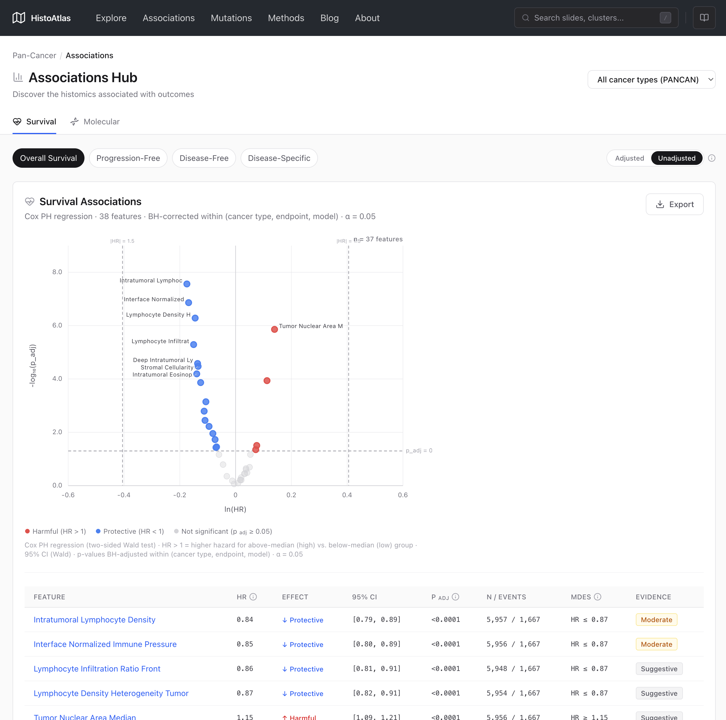 HistoAtlas gallery image