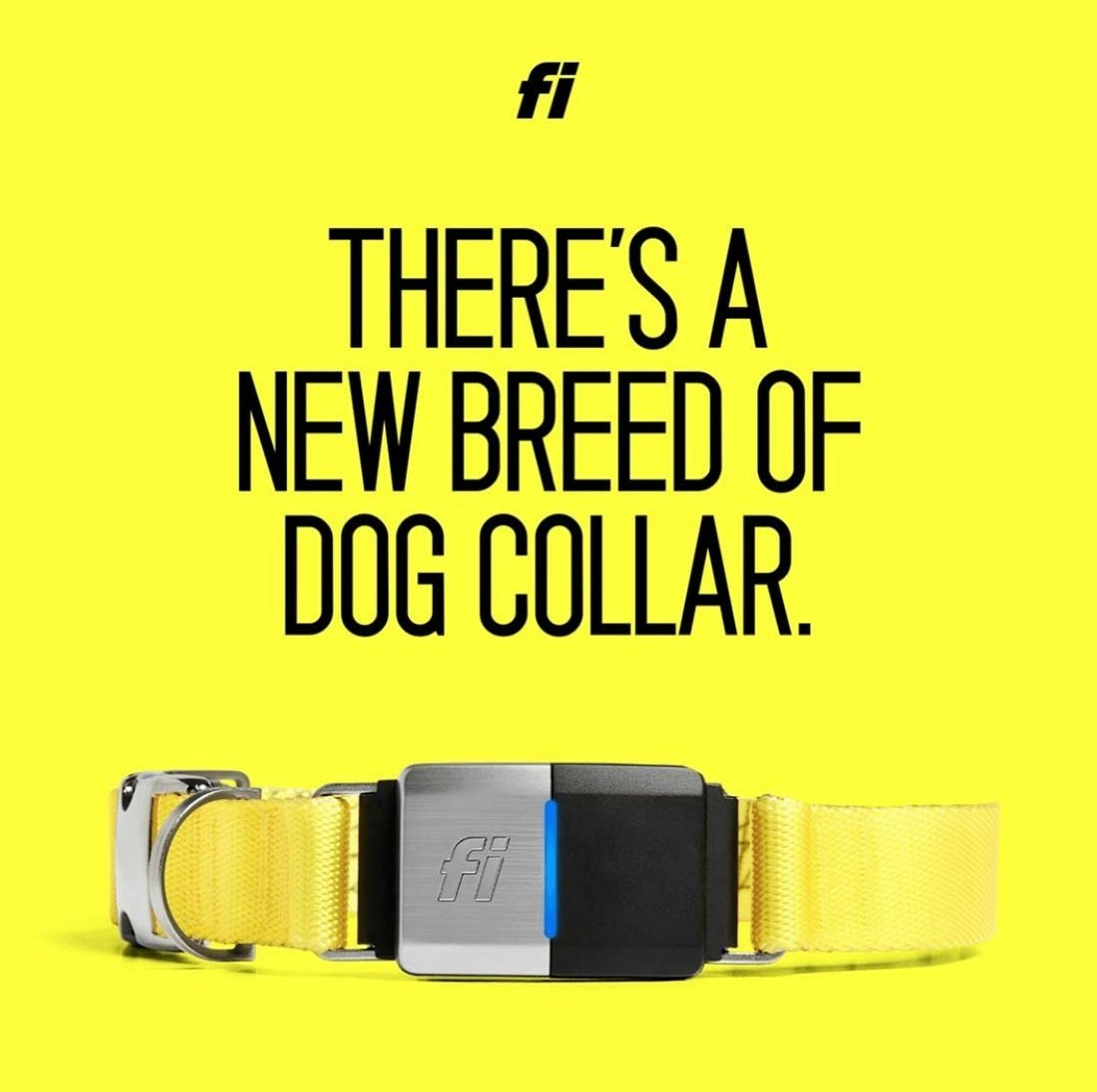 fi smart dog collar