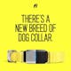 Fi Smart Dog Collar