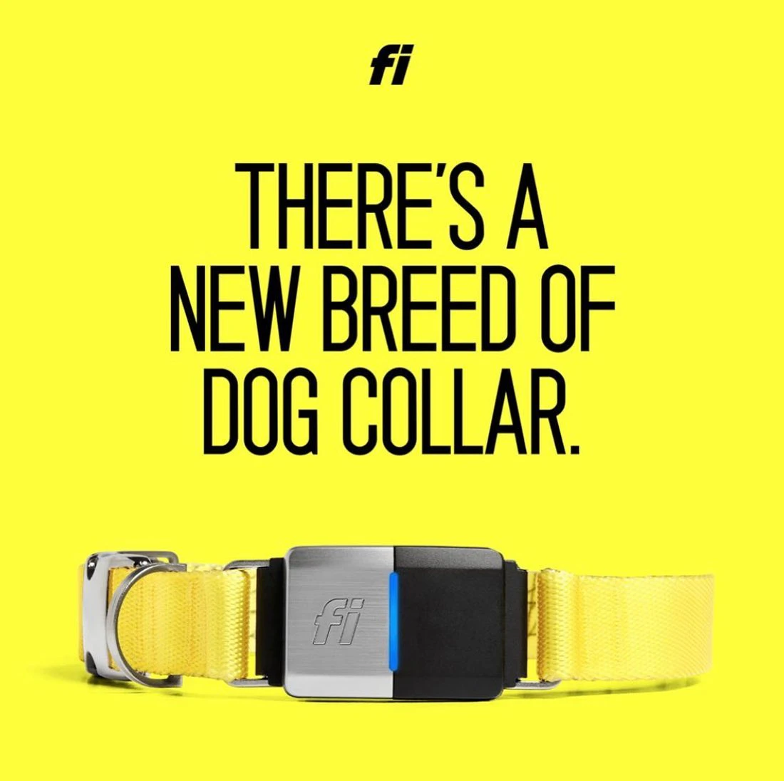 Fi Smart Dog Collar
