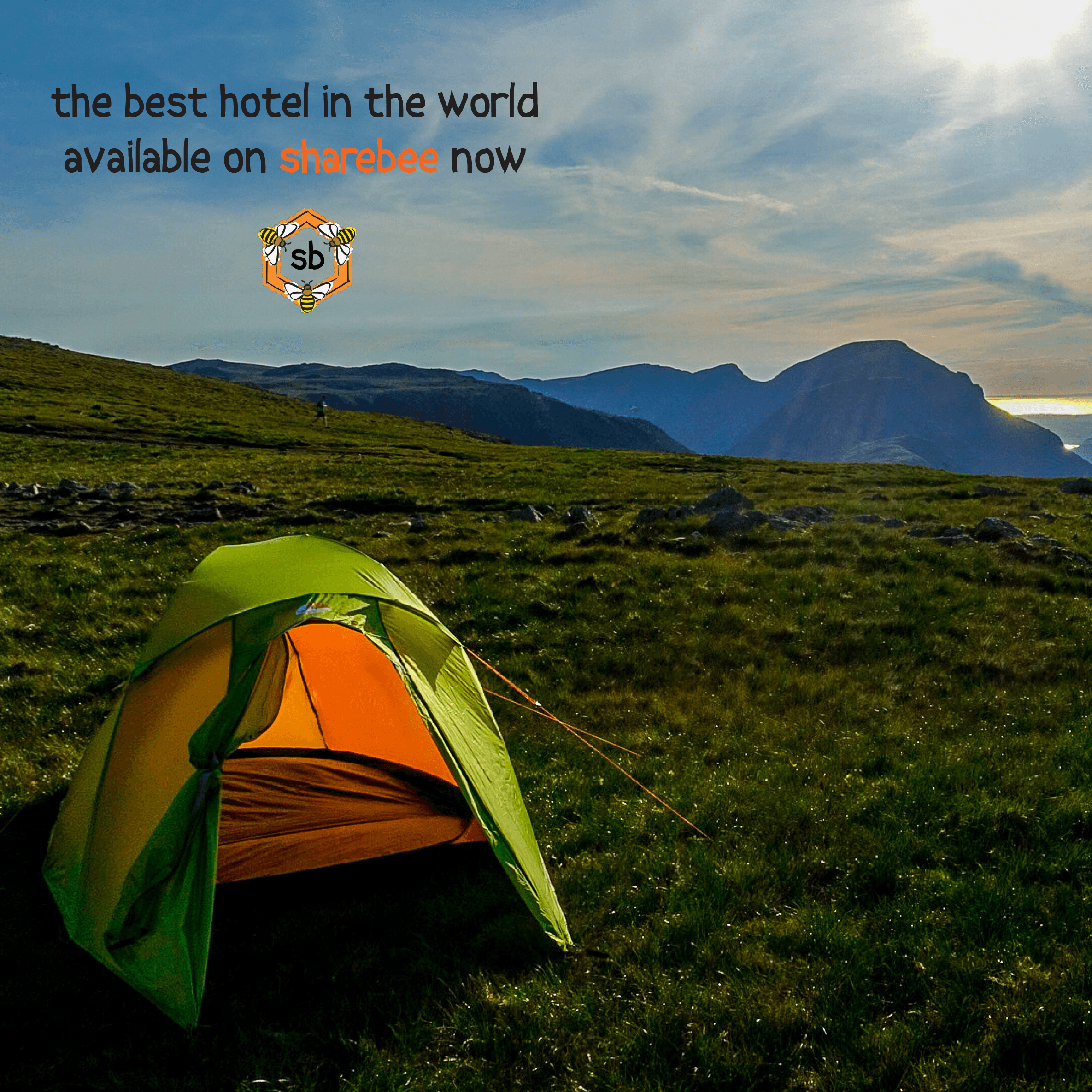 sharebee gallery image