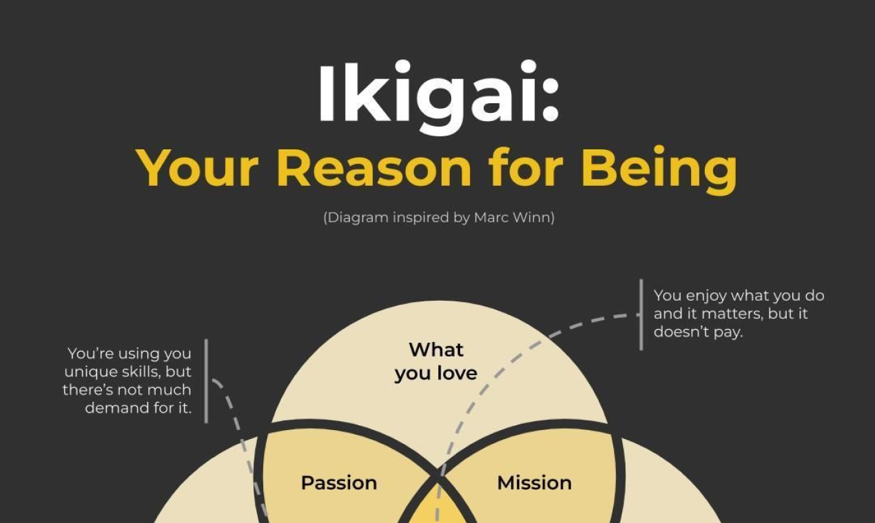 Infographic Design Subscription gallery image