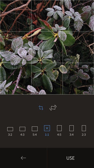 RNI Films gallery image