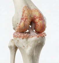 Natomy AI gallery image