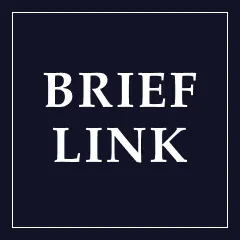 BriefLink