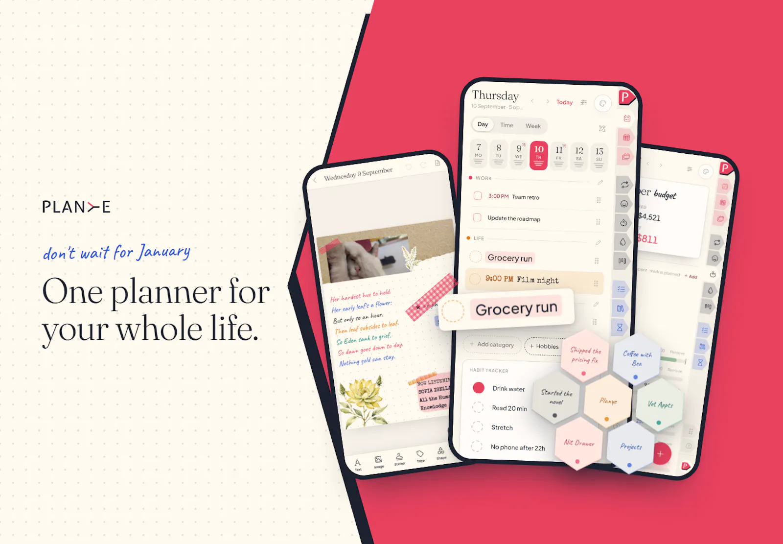 Planye screenshot 2