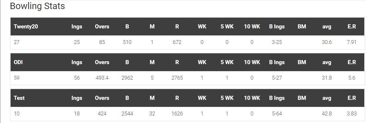 Ultimate Live Cricket WordPress Lite gallery image