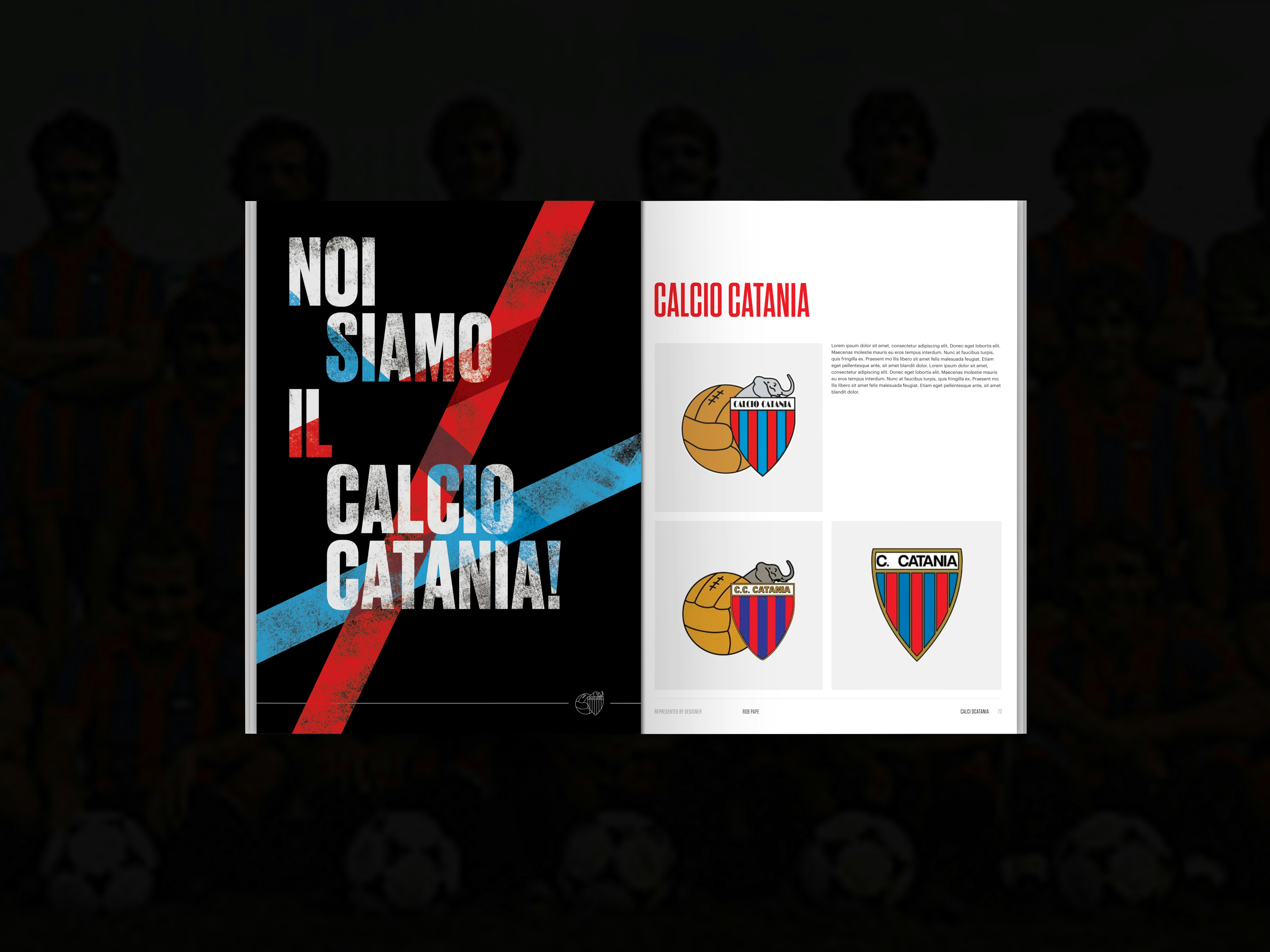 The Football Crest Index gallery image