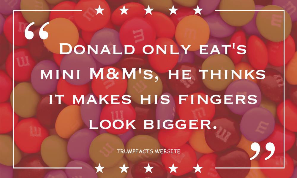 Trump Facts gallery image