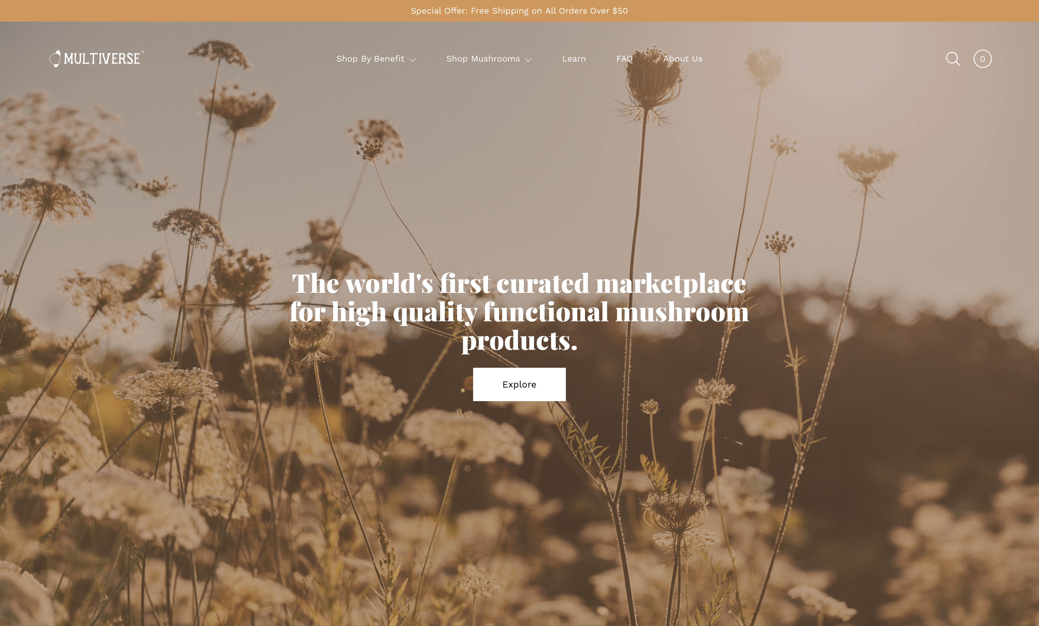 The Multiverse gallery image