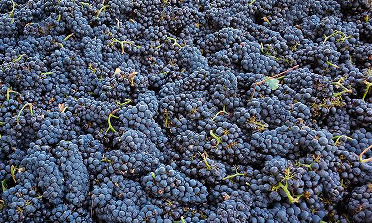 Six Figures Wine gallery image