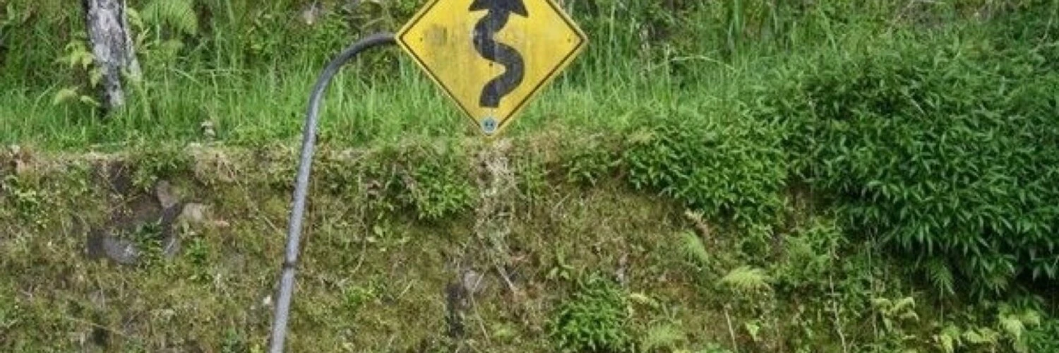 Vasily Danilenko cover