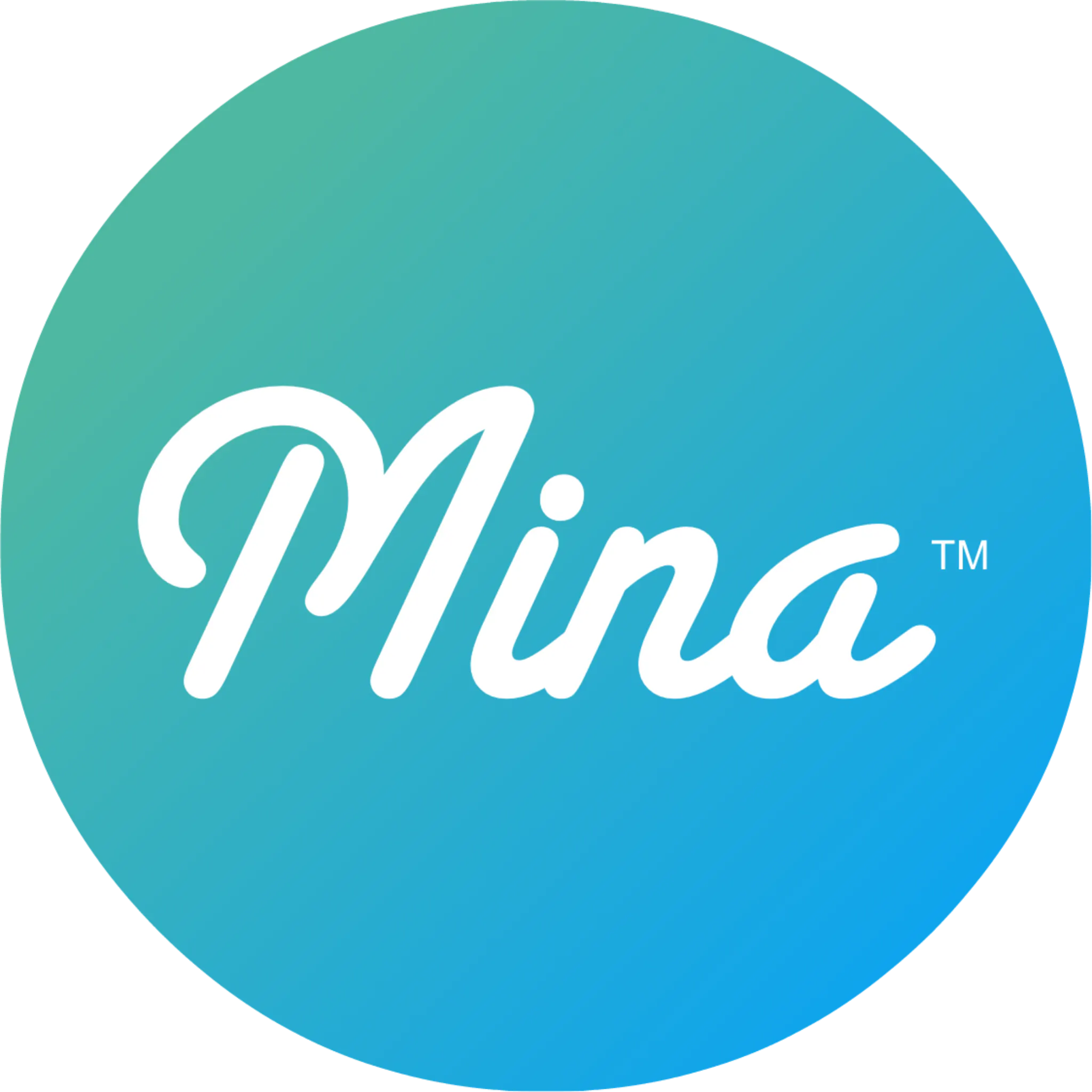 Mina AI