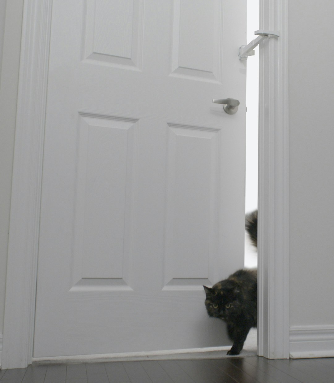 DOORWING Door Lock and Finger Guard gallery image