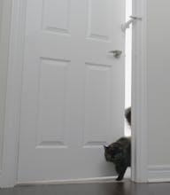 DOORWING Door Lock and Finger Guard gallery image