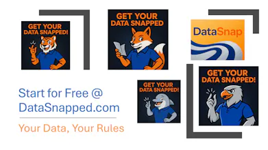 DataSnap gallery image