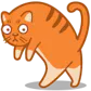 Orbit, the cat