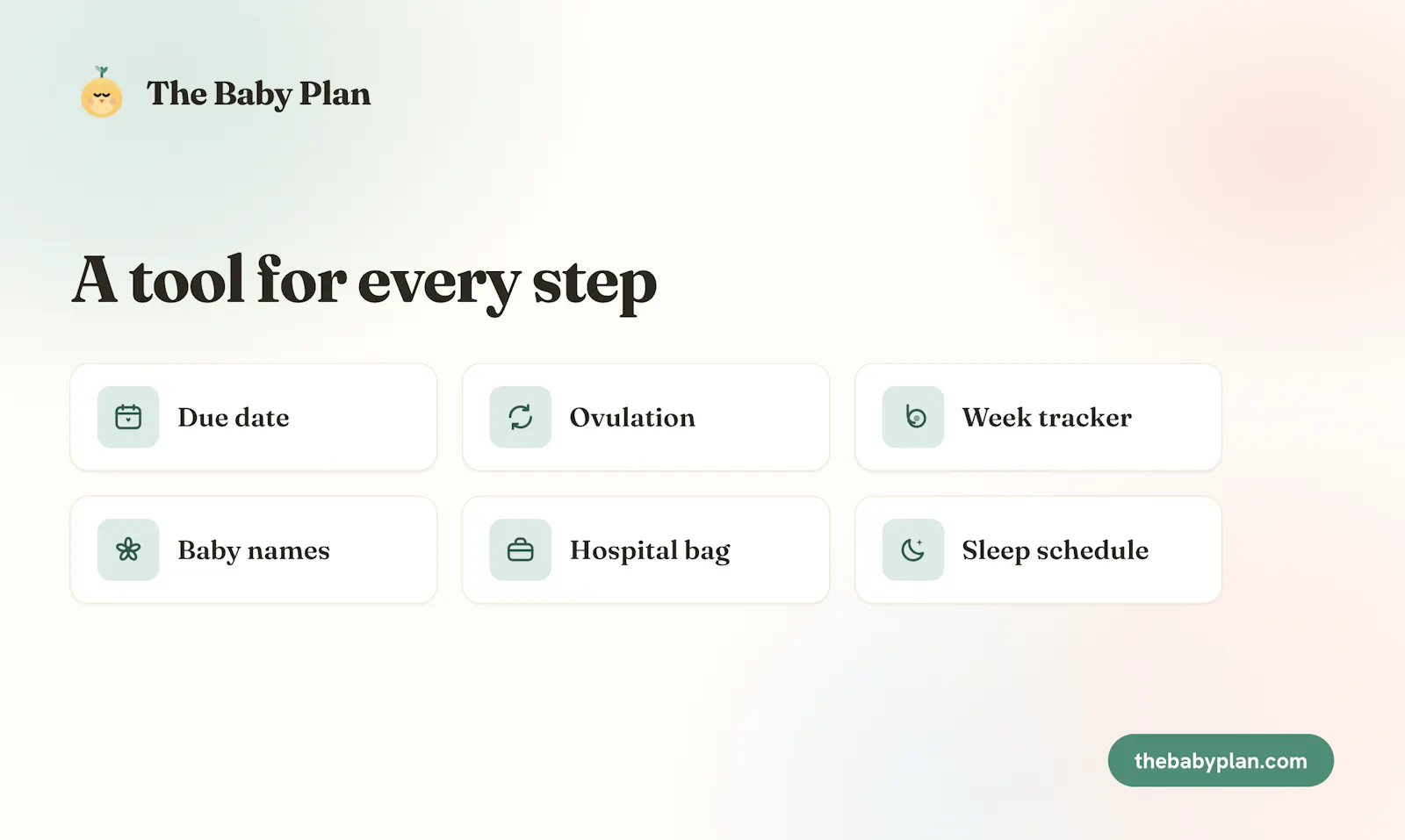 The Baby Plan screenshot 3