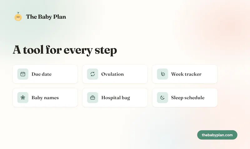 The Baby Plan screenshot 3