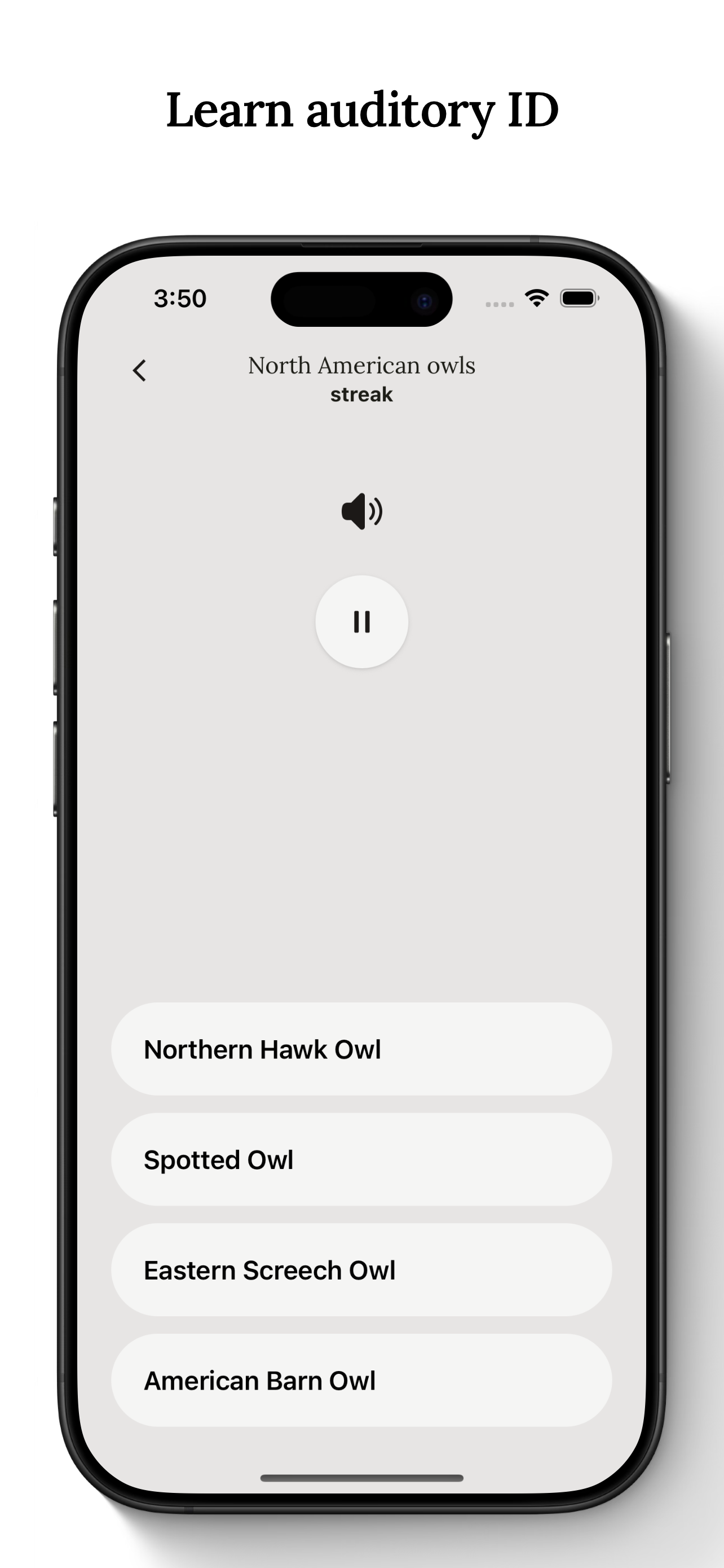 Birdwise gallery image